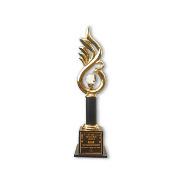 International Achievers Award